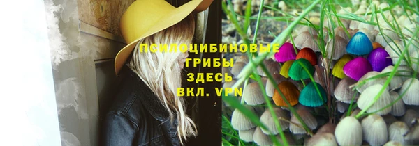 PSILOCYBIN Аркадак