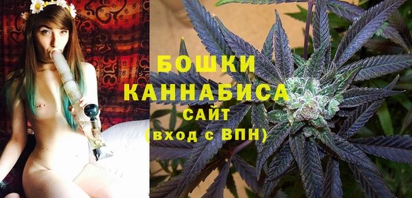 PSILOCYBIN Баксан