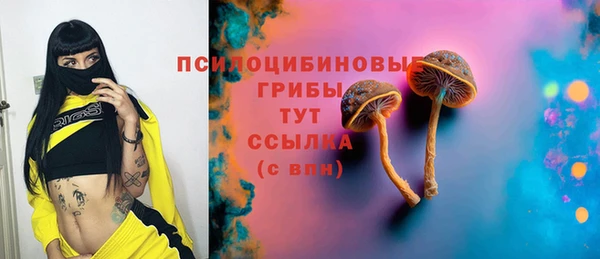 шишки Балахна