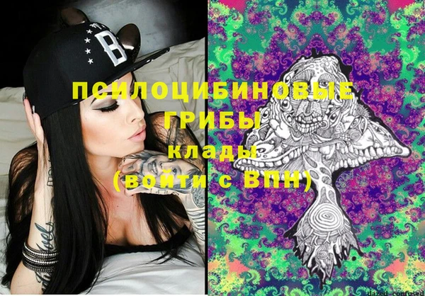 шишки Балахна