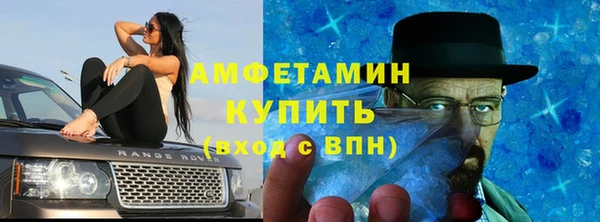 шишки Балахна
