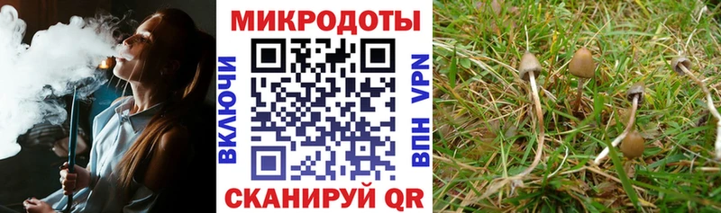 Галлюциногенные грибы Magic Shrooms  Нижняя Тура 